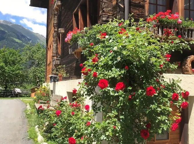 Clausen Kurt Apartamento